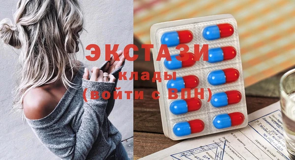 стаф Дмитров