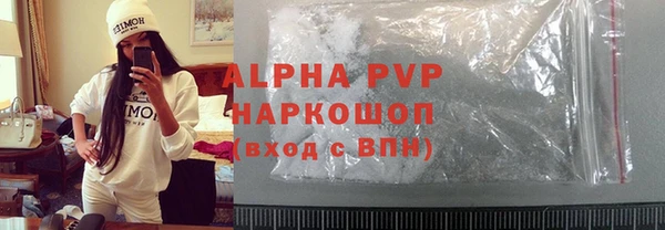 стаф Дмитров