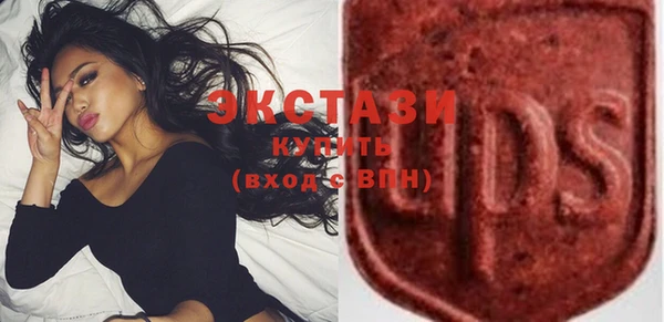 стаф Дмитров