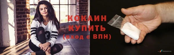 шишки Березники