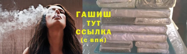 стаф Дмитров