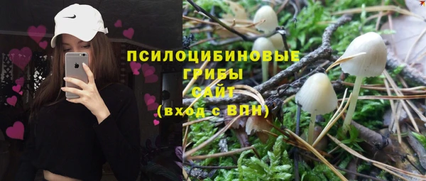 скорость Долгопрудный