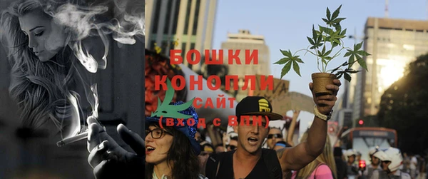 стаф Дмитров