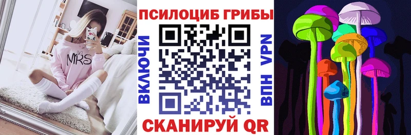 Псилоцибиновые грибы Psilocybine cubensis  ОМГ ОМГ ссылка  Добрянка 