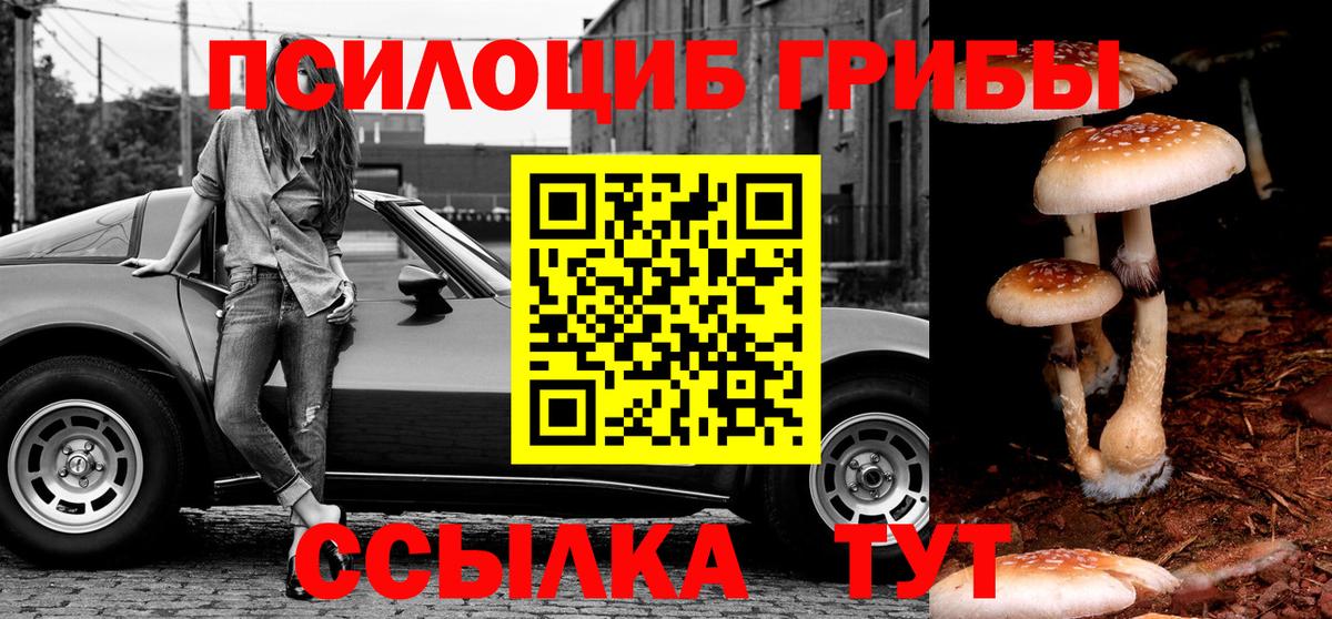 Псилоцибиновые грибы мухоморы Добрянка