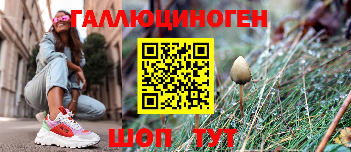 Псилоцибиновые грибы прущие грибы  Добрянка  что такое наркотик  Псилоцибиновые грибы мухоморы 