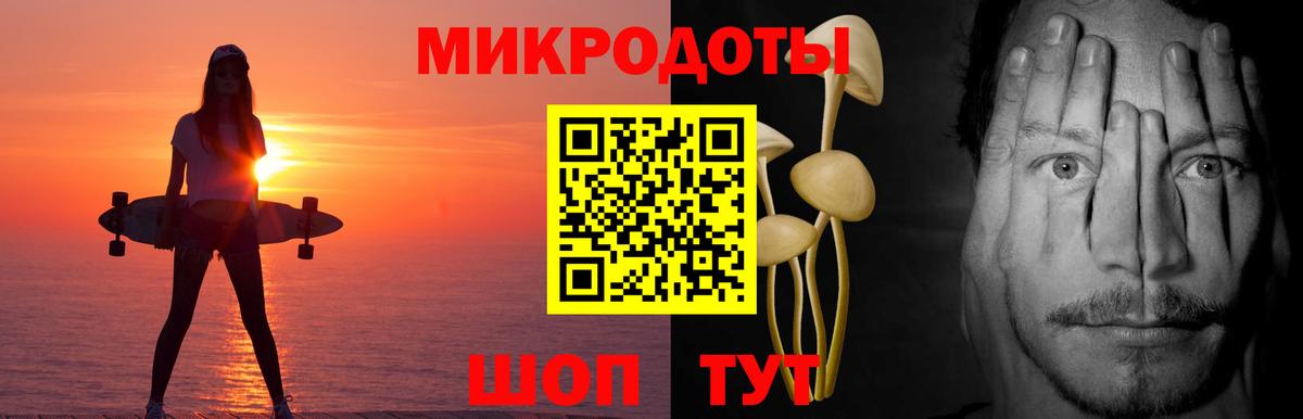 Добрянка  Псилоцибиновые грибы Psilocybine cubensis  Вход с VPN 